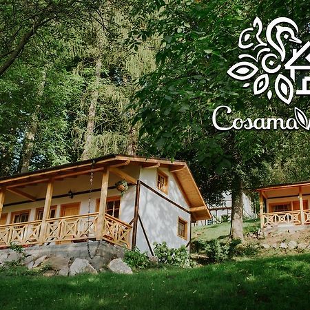 Cosama Village Sighişoara Eksteriør bilde